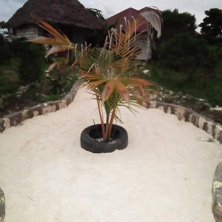 Marashi Villa Nungwi Exteriér fotografie