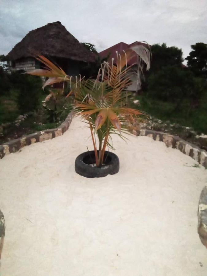 Marashi Villa Nungwi Exteriér fotografie