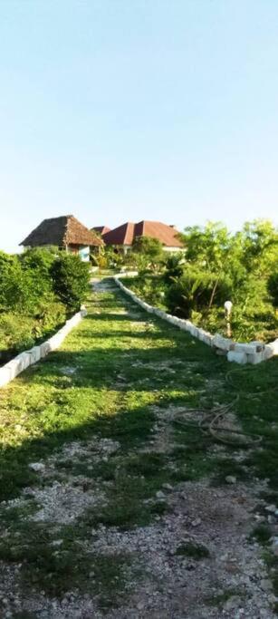 Marashi Villa Nungwi Exteriér fotografie