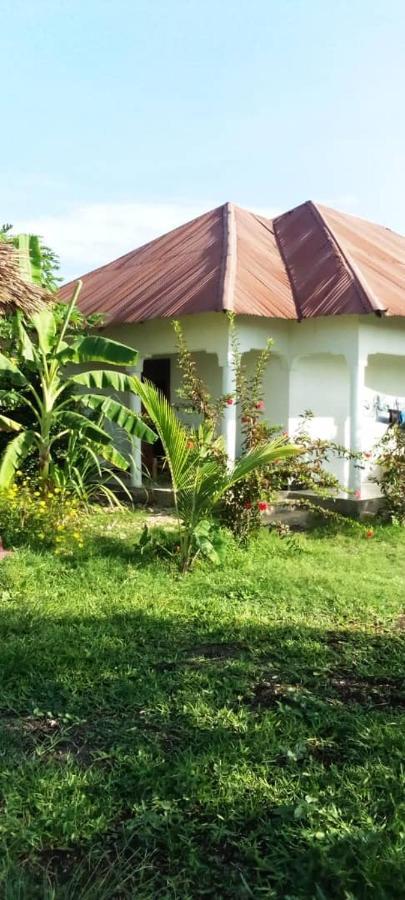 Marashi Villa Nungwi Exteriér fotografie